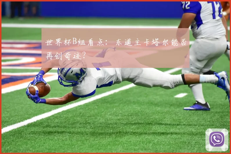 世界杯B组看点：东道主卡塔尔能否再创奇迹？