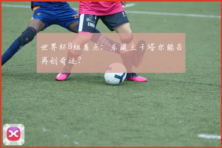 世界杯B组看点：东道主卡塔尔能否再创奇迹？